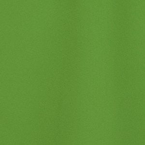 Additional Image 2 - a green patch of grass