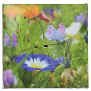 Additional Image 2 - a close up of flowers