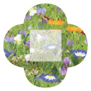 Additional Image 3 - a green and white flower