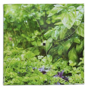 Additional Image 1 - a close up of a plant