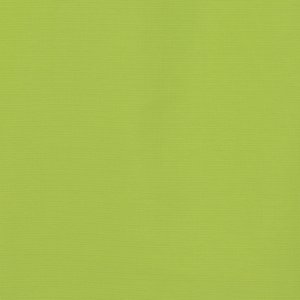 Additional Image 1 - a green wall with a white stripe