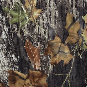 Additional Image 1 - a close up of a tree