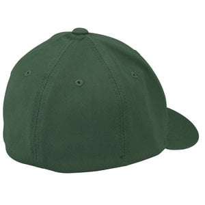 Additional Image 1 - a green hat on a white background