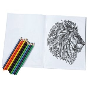 Additional Image 1 - a drawing of a lion head