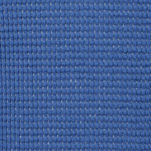 Additional Image 1 - a blue square with small lines