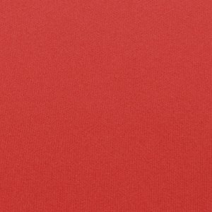 Additional Image 2 - a red surface with white text