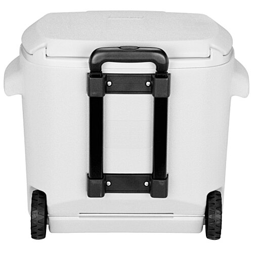 Additional Image 2 - a blue and white cooler