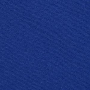 Additional Image 2 - a blue surface with a white spot