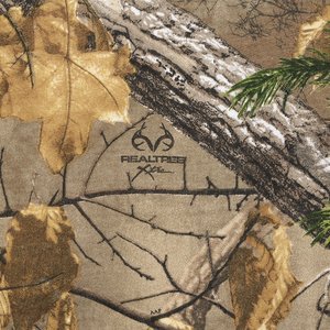 Additional Image 1 - a close up of a tree branch