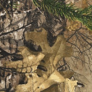 Additional Image 1 - a close up of a plant