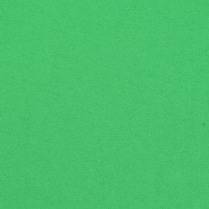 Additional Image 1 - a green surface with a white spot