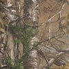 Additional Image 1 - a tree trunk with green leaves