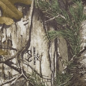 Additional Image 2 - a close up of a plant