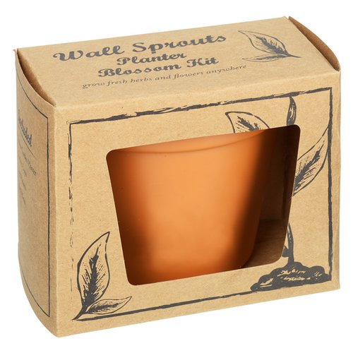 Additional Image 5 - a brown container with a window