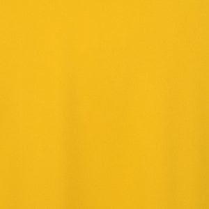 Additional Image 2 - a yellow fabric with a black stripe