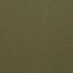 Additional Image 1 - a green wall with a white border