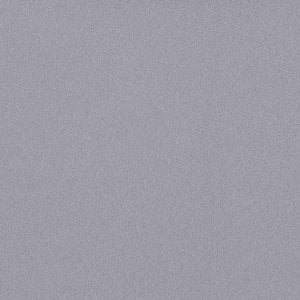 Additional Image 3 - a white cloud in the sky