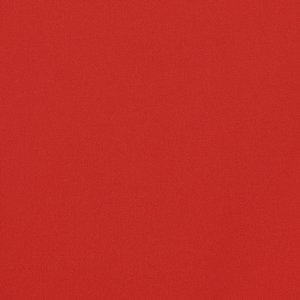 Additional Image 2 - a red surface with white text