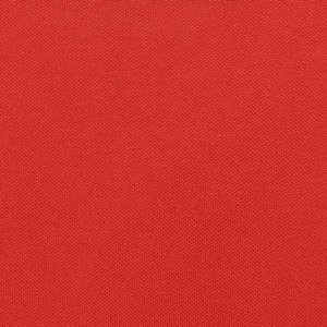 Additional Image 2 - a red surface with a white stripe