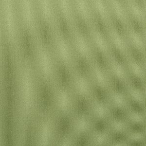 Additional Image 2 - a green wall with a white stripe