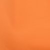 Additional Image 1 - a close up of an orange