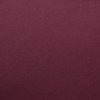 Additional Thumbnail Image 1 - a red surface with a white stripe