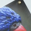 Additional Image 1 - a close up of a bird's face