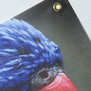 Additional Image 1 - a close up of a bird's face