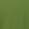 Additional Image 1 - a green patch of grass