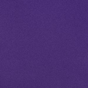 Additional Image 2 - a purple surface with white text