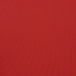 Additional Image 2 - a red surface with white lines