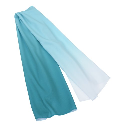 Additional Image 4 - a blue and white paper