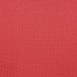 Additional Image 2 - a red surface with white text