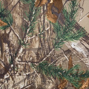 Additional Image 1 - a close up of a tree