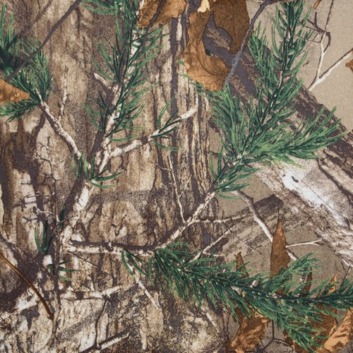 Additional Image 1 - a close up of a tree