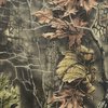 a close up of a tree