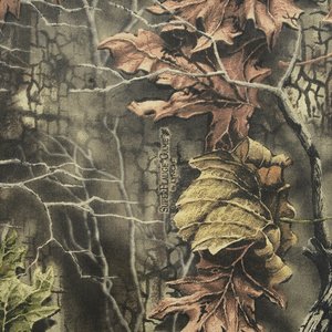 Additional Image 1 - a close up of a tree