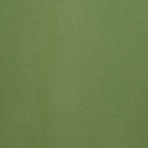 Additional Image 1 - a green wall with a white stripe