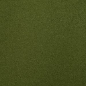 Additional Image 1 - a green wall with a white stripe