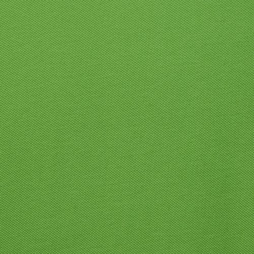 Additional Image 2 - a green wall with a white stripe