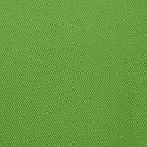 Additional Image 2 - a green wall with a white stripe