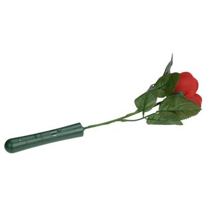 Additional Image 3 - a close up of a flower