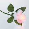 View Image 5 of 8 of Light-Up Rose - Multicolor