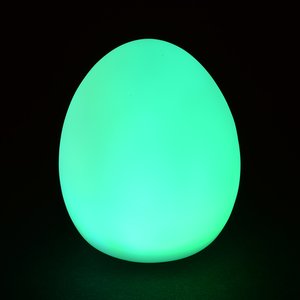 Additional Image 2 - a green egg with black background