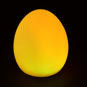 Additional Image 3 - a yellow egg on a black background