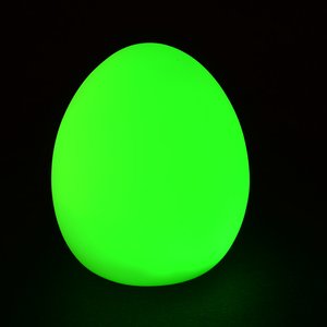 Additional Image 5 - a green egg on a black background