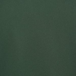 Additional Image 2 - a green wall with a white stripe