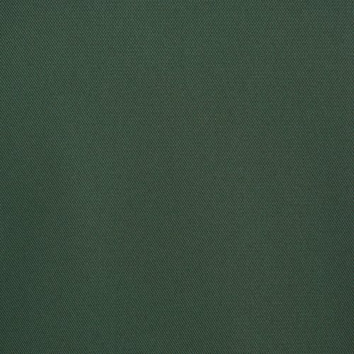 Additional Image 2 - a green wall with a white stripe
