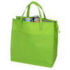 Additional Image 1 - a green bag with a handle