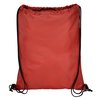 Additional Image 2 - a red bag with straps